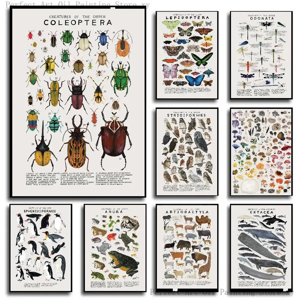 Woodland Animals Genus Generic Evolution Nursery Poster Self-adhesive Art Room Entrance Restaurant Wall Decor Art Painting