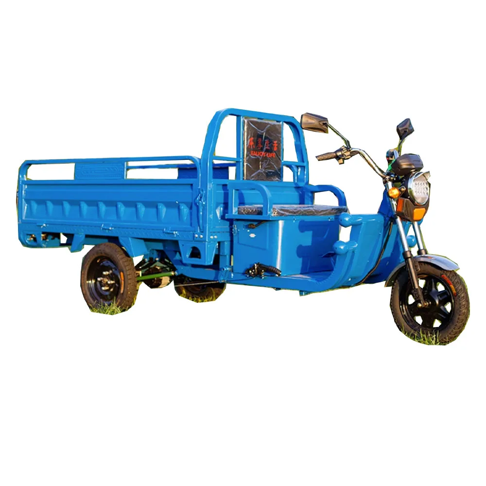 Tricycle électrique chinois avec grande roue, camion à 3 roues, cargo pour adultes, corps ouvert, CEE, 72V, 1500W