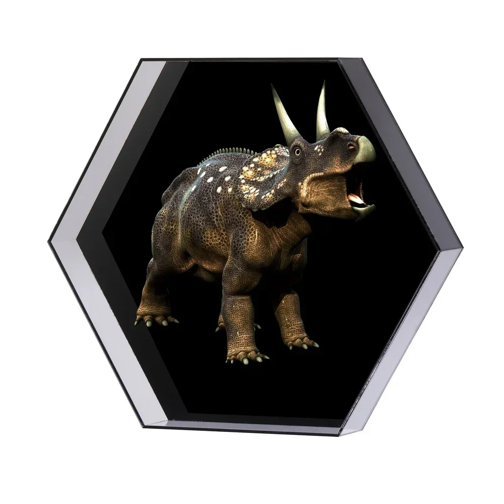 32cm Hexagonal With Cover WiFi 3D Hologram Fan 3D Holographic Projector Logo Display LED Advertising Machine