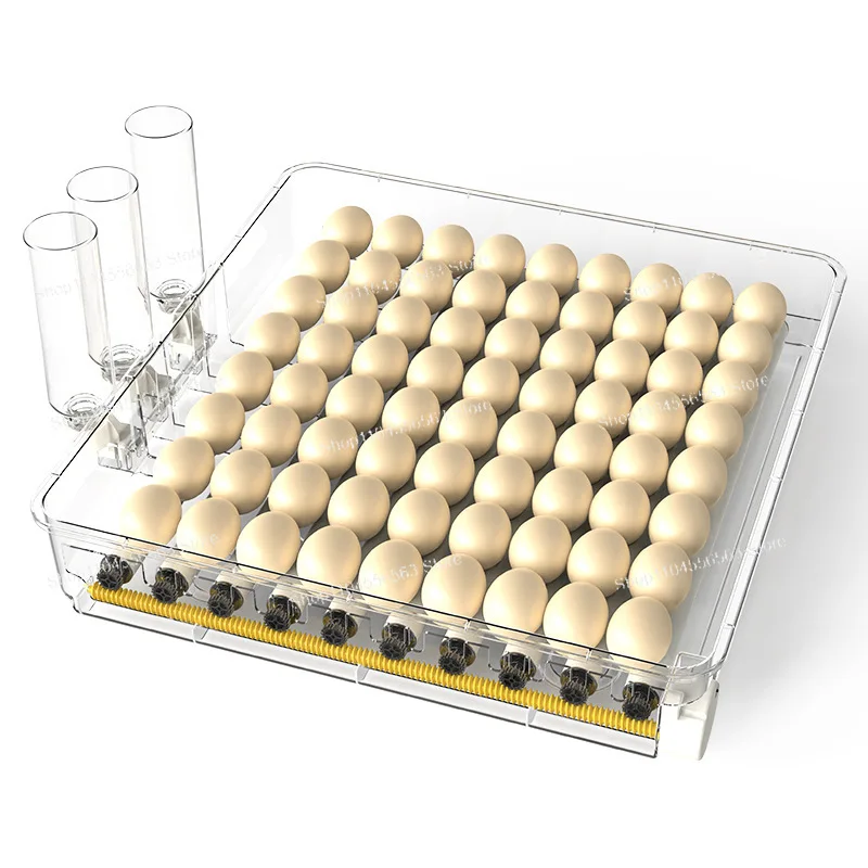 Intelligent Egg Incubator Rutin Chicken Small Hatcher Poultry Incubation Breeding Incubator Matrix Egg Incubator