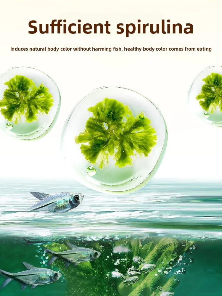 كريات THUMB الصغيرة لتعليم الأسماك، مصممة خصيصًا لتيترا النيون الأسود وTetra وDenison Barb #3