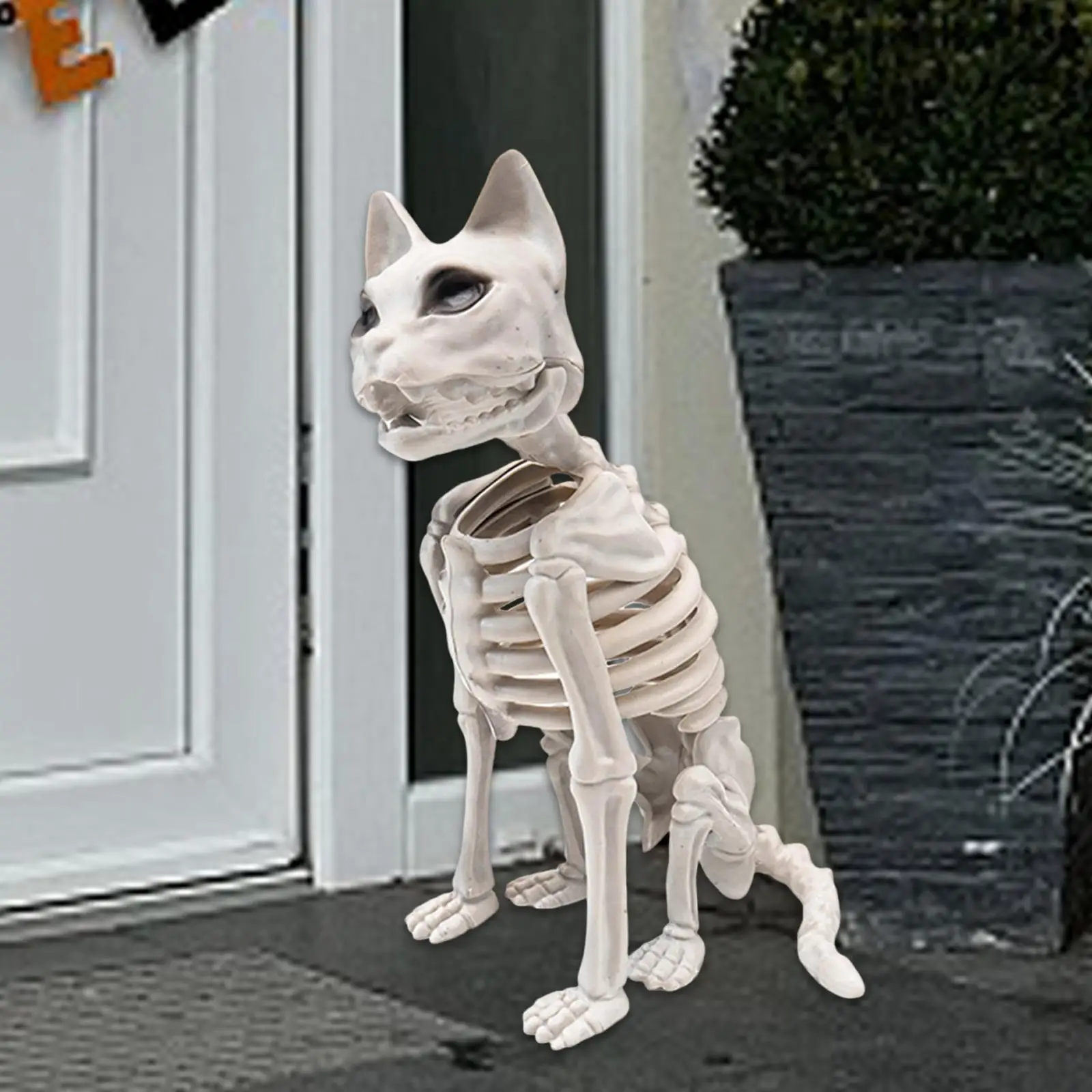 

Sitting Cat Skeleton Halloween Decoration 15x24x34cm Lightweight for Educational Model Creepy Animal Bone Prop PP Material
