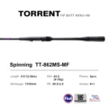 TT-862MS