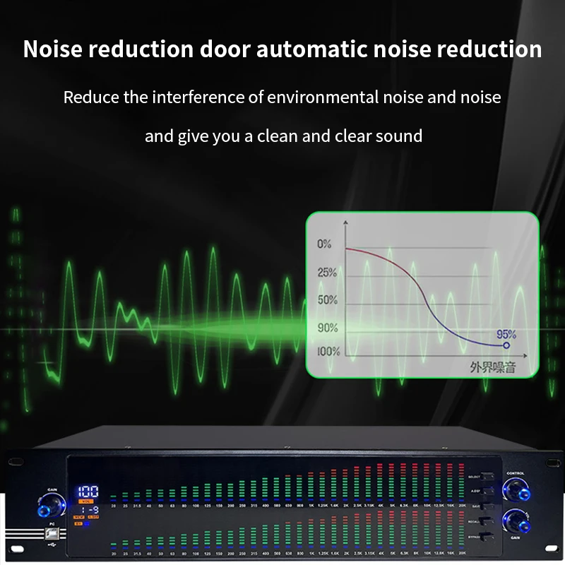 FSWIRI Professional Equalizer Dual Channel 31 Segment Home Stage Performance Equalizer Graphic Equalizer with Computer Software