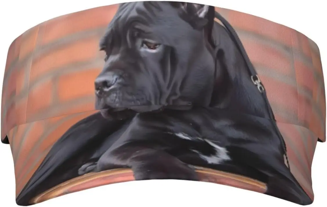 Sport Sun Visor Hat Cool Cane Corso Summer Sun Hat Cap for Jogging Walking