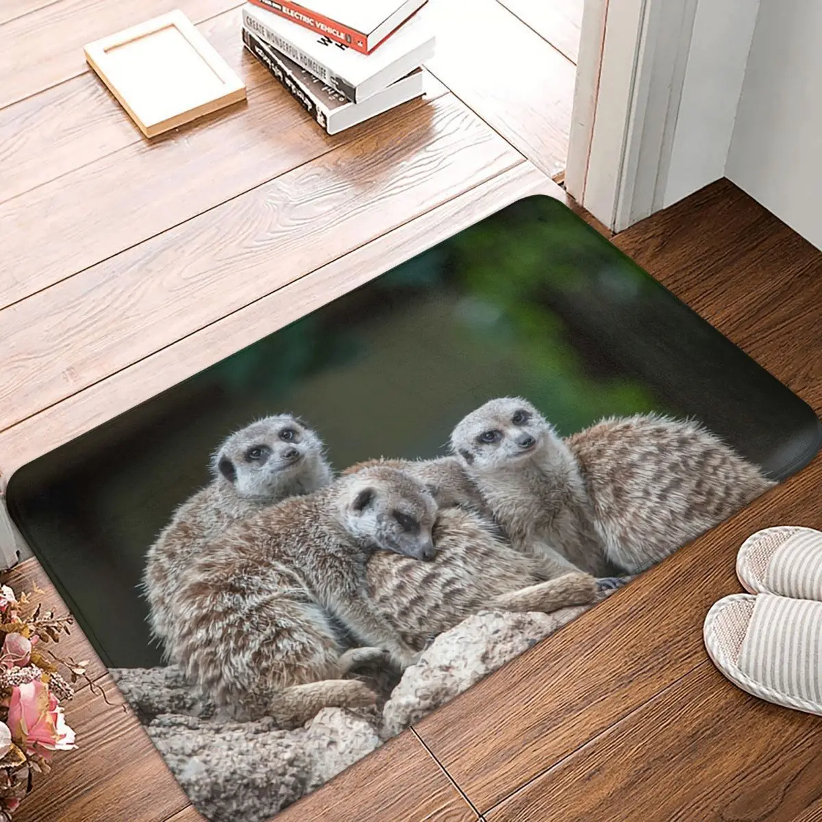 Meerkat Family 40x60cm Carpet Polyester Floor Mats Holiday Bathroom Outdoor