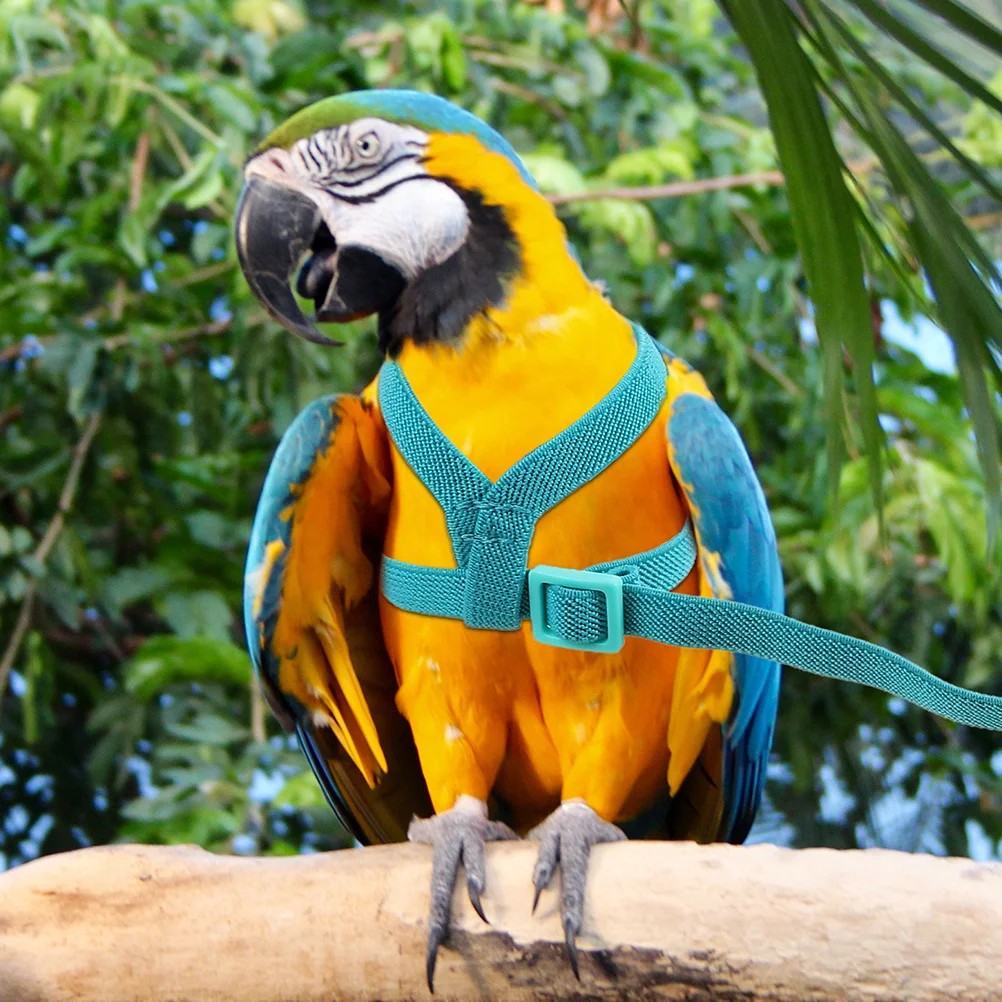 خفيفة الوزن الببغاء تحلق تسخير قابل للتعديل مقاومة للاهتراء المقود ل Cockatiels Conures في الهواء الطلق التدريب الداخلي الطيور تسخير #6