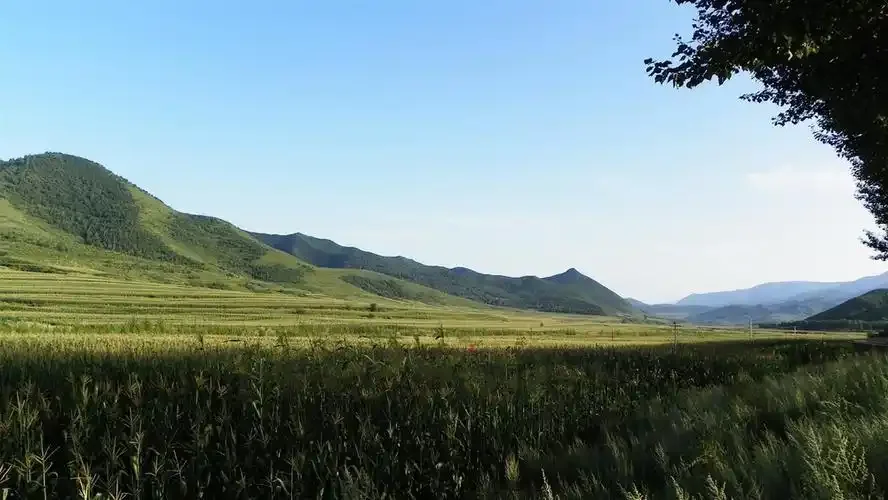 

For Honda Avancier 17-20 Manganese Steel Under Engine Guard Protection Device Engine Bonnets Engine Shield Car Accessories.