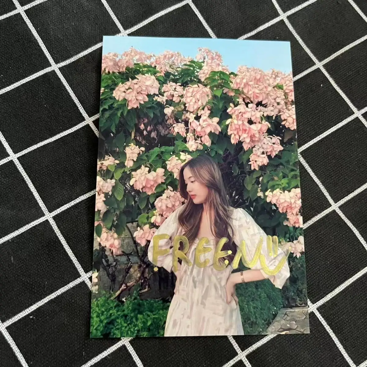 Freenbecky Signature Photo, Pink Theory Promotion, Collection Gift