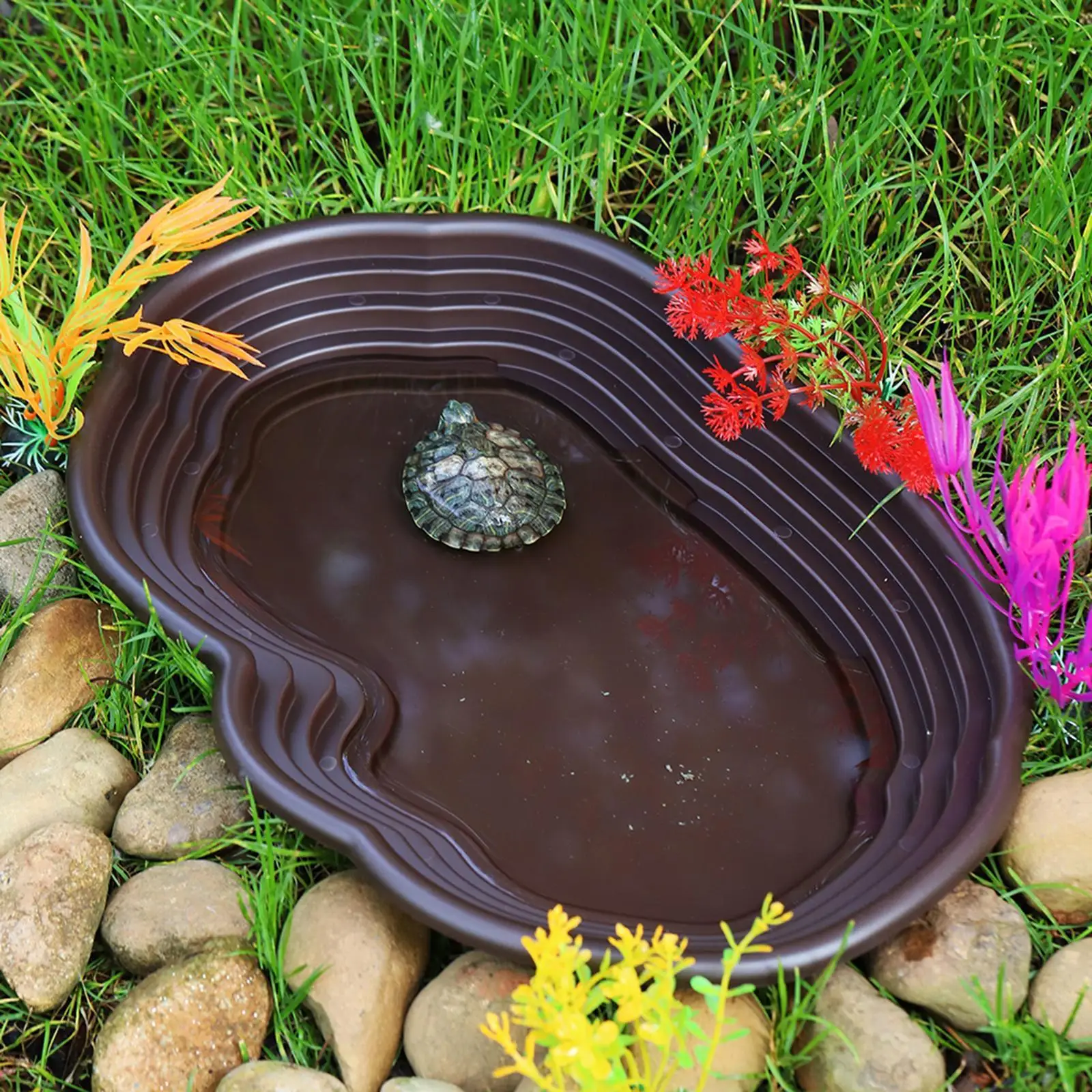 Reptile Bathing Dish Pool With Ramp Enhances Feeding Experience For Tortoise Bearded Dragon Aquatic Pets Swim Exercise