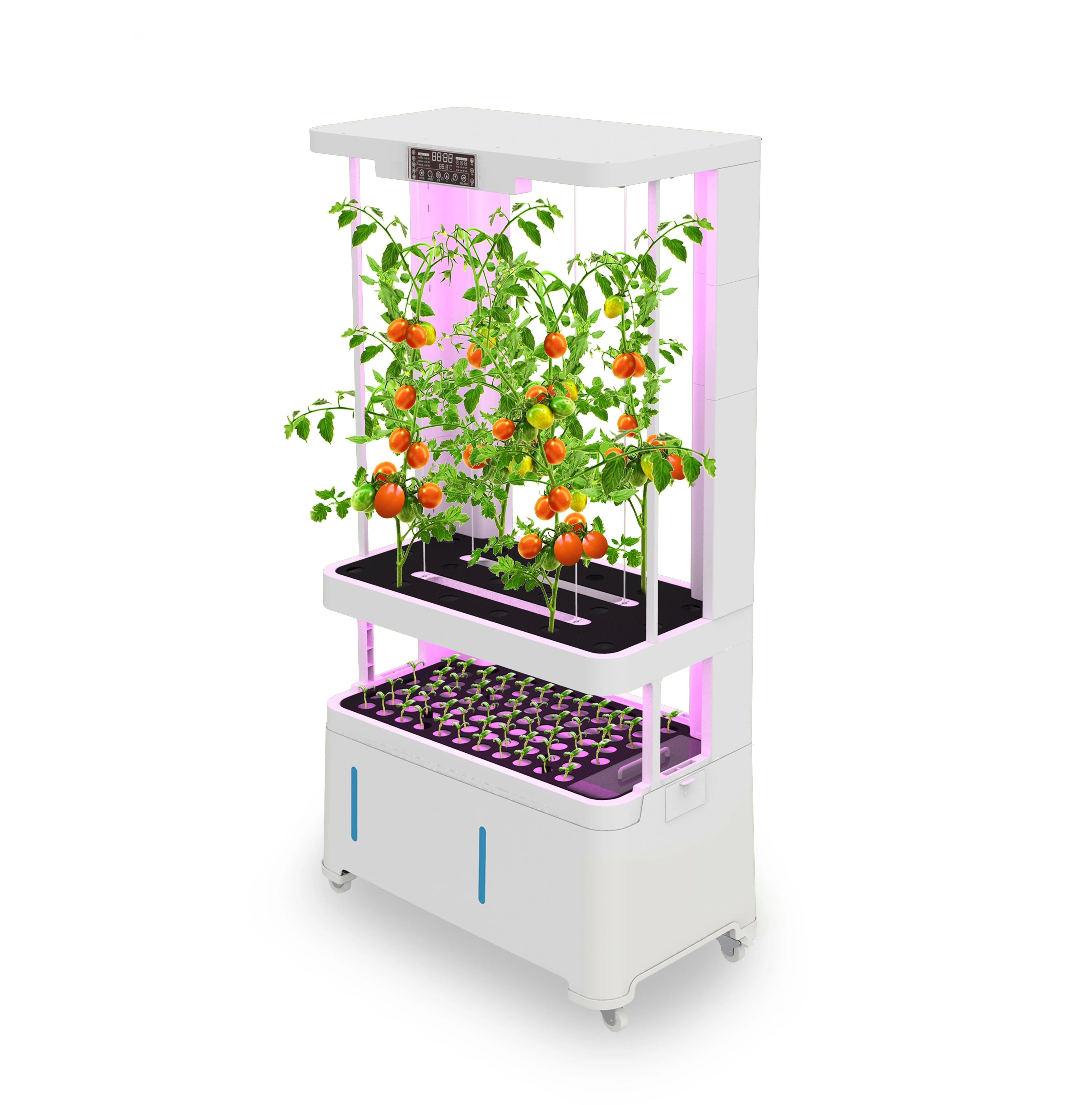 Indoor Vertical Growing System - Hydroponic System ulasan dan harga