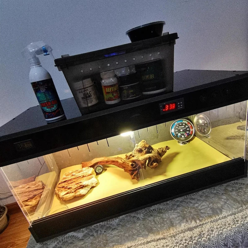Thermostat Reptile Terrarium Turtle Lizard Hamster Breeding Box Snake Hedgehog Reptile Terrariums Climbing Pet House Incubator