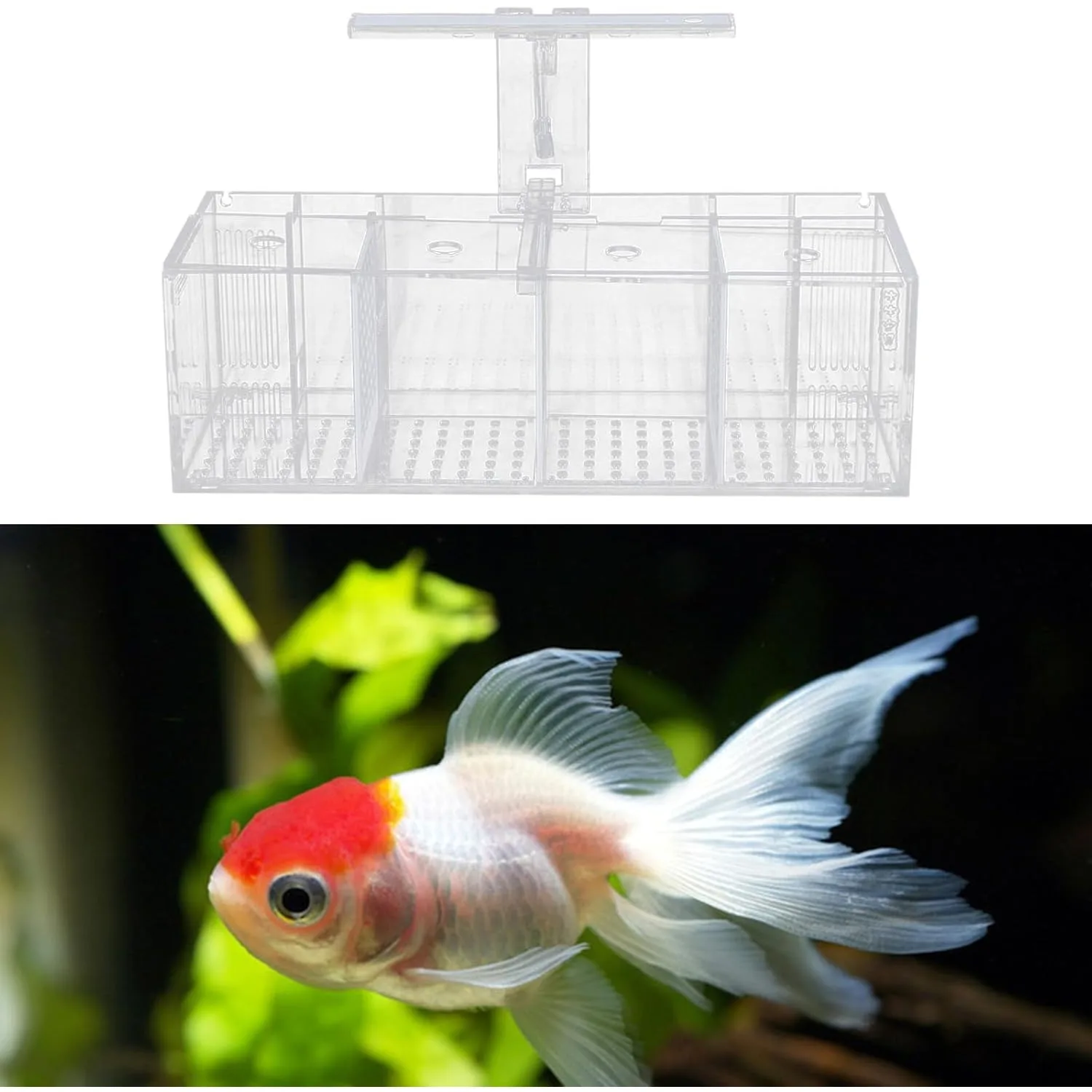 4 Grid Fish Tank, LED Small Fish Aquarium, Double Glass Desktop Mini DIY Aquarium The Dormitory, Living Room, Office