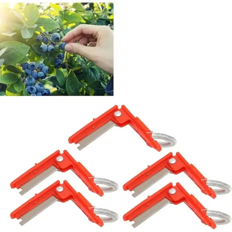 40 Piezas de Guantes de Jardinería para Plantar Vegetales, Recortar Ramas y Hojas, Tijeras Pequeñas para Plantar Plantas, para Cultivar y Cortar