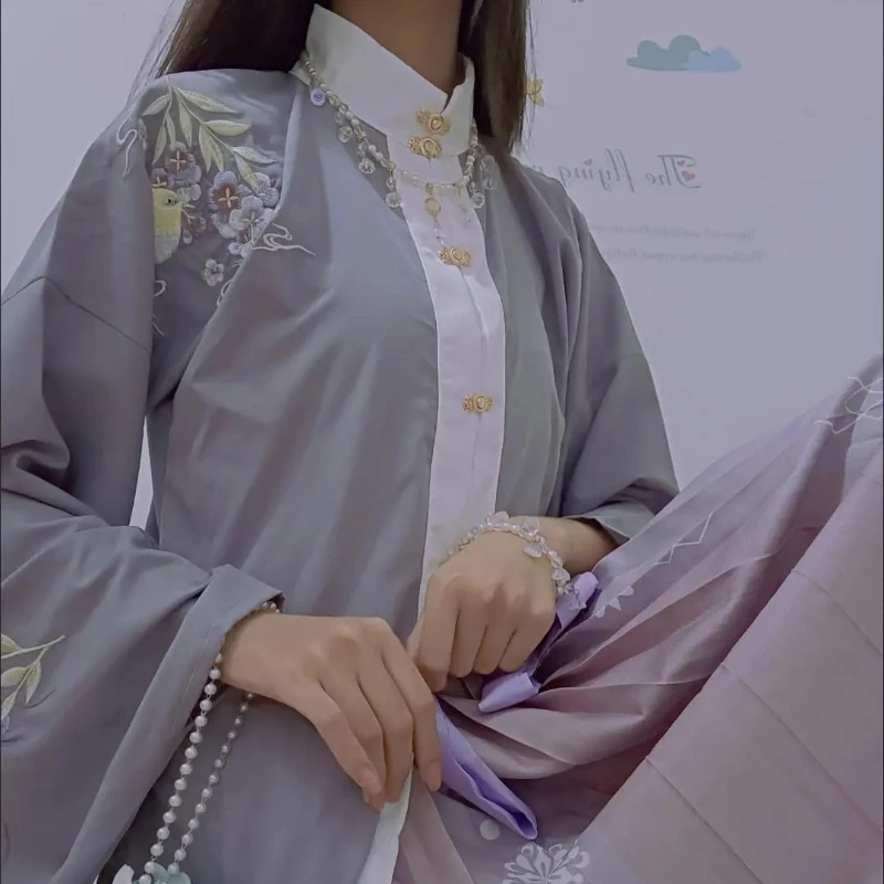 Hanfu Ming – vêtements traditionnels chinois de la dynastie pour femmes, jupe plissée à col montant, tenue brodée, vêtements anciens, 2 pièces