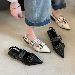 Pointy Mary Jane Shoes for Women 2023 Summer Model with Skirt Small Leather Shoes Retro Chunky Single Shoes for Women