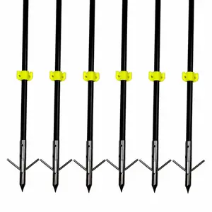 6 Main Sales Arc and Professional Arrow - №3