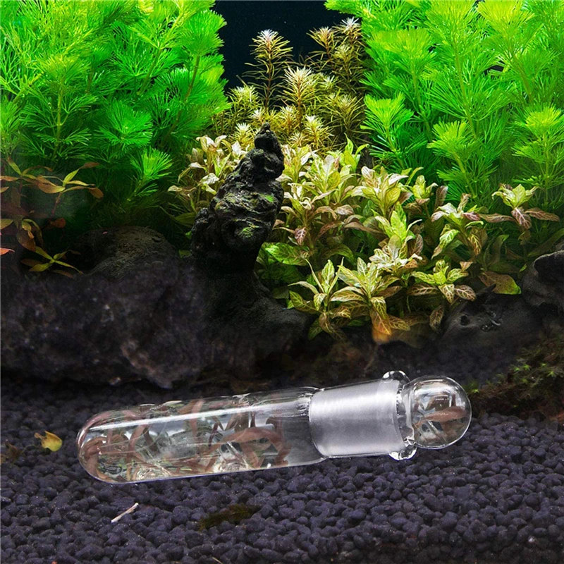 Aquarium Planaria Trap FIsh Tank Clear Glass Catch Trap For Cherry Shrimp Crystal Red Shrimp Dwarf Shrimp Flat Worms Leeches