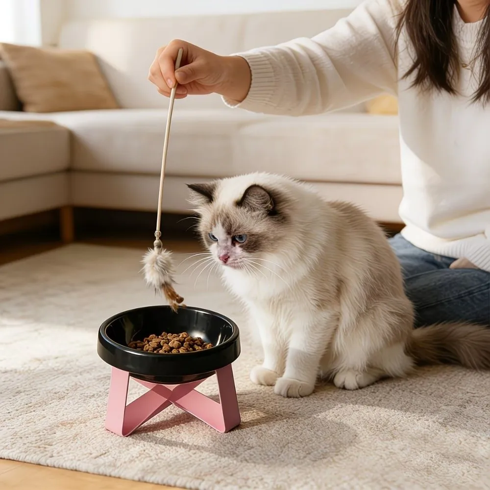 Gamelle surélevée grand diamètre pour chat, anti-déversement, anti-fuite, protection du cou, anti-choc, anti-étouffement, pour usage extérieur
