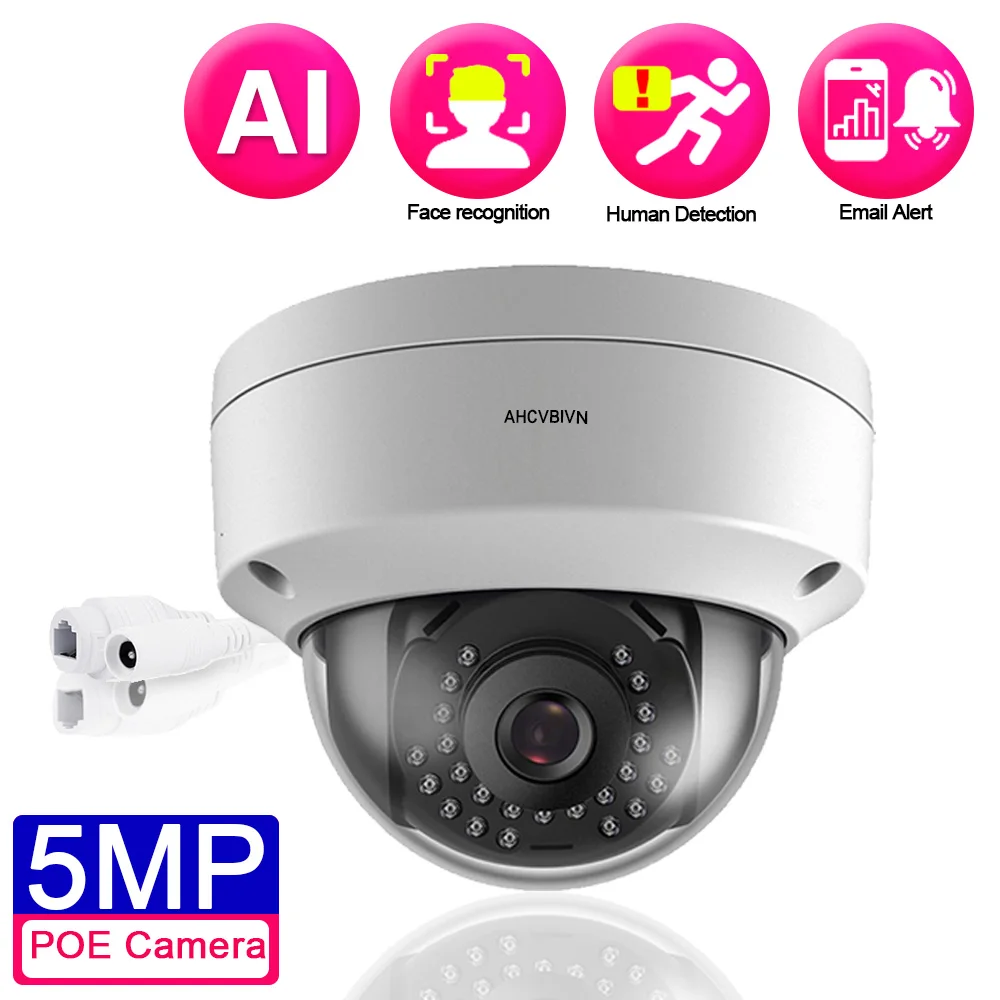 

Explosion-Froof Dome Face IP 5MP POE Camera H.265 Outdoor IP66 Waterproof Motion Detection Security Indoor Home Security Cameras