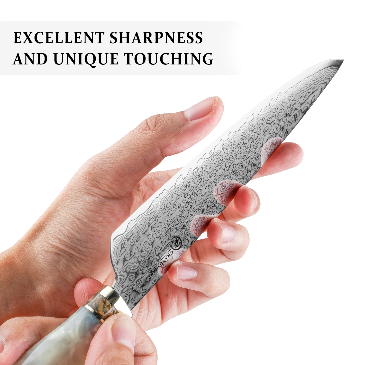 Japanese Chef Knife Premium Kitchen Cooking Tools 67 Layers Damascus Stainless Steel Blue Red White Wooden Handle Cookware