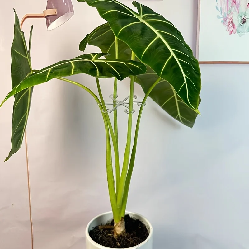 4 قطعة عمود دعم مضاد للتلوين النباتي الأخضر المثبت البستنة فرع مساعد ثابت دعم حامل النبات إكسسوارات الحديقة #4