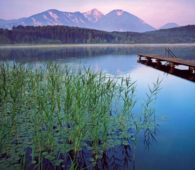 Aocoda RC Bettle 30110 110A 4-IN-1 ESC - 32Bit AT32F421K8U7 3-8S LiPo 33g لـ FPV Racing Drone DIY أجزاء