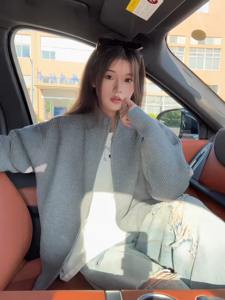 

ay Knitted Sweater Men's Loose Fit Heavyweight Cleanfit Knitwear Cardigan Sweatirt Outerwear Autumn Season Casual Sle