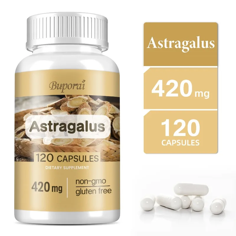 Astragalus - Antioxidant, Immune Support, Promotes Heart and Cardiovascular Health, Reduce Fatigue, Promotes Digestive Health