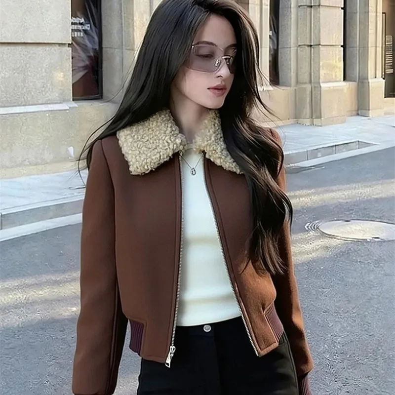 

Brown Coat Women 2026 New Spring Autumn Winter Jacket High-end Short Design Sense Retro Thick Warm Zipper Outerwear Top