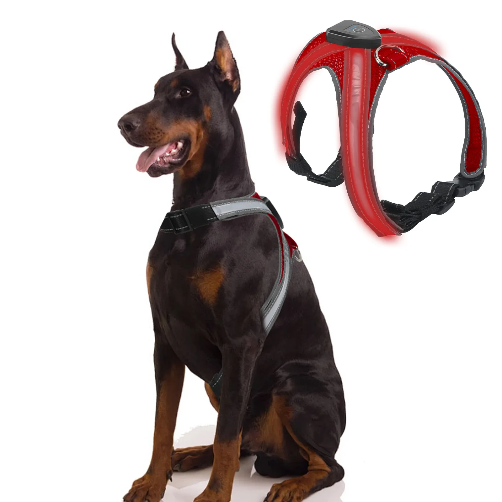 A New Illuminated Dog Harness That Prevents Pulling, Featuring LED Lights for Nighttime Walks. This USB Rechargeable