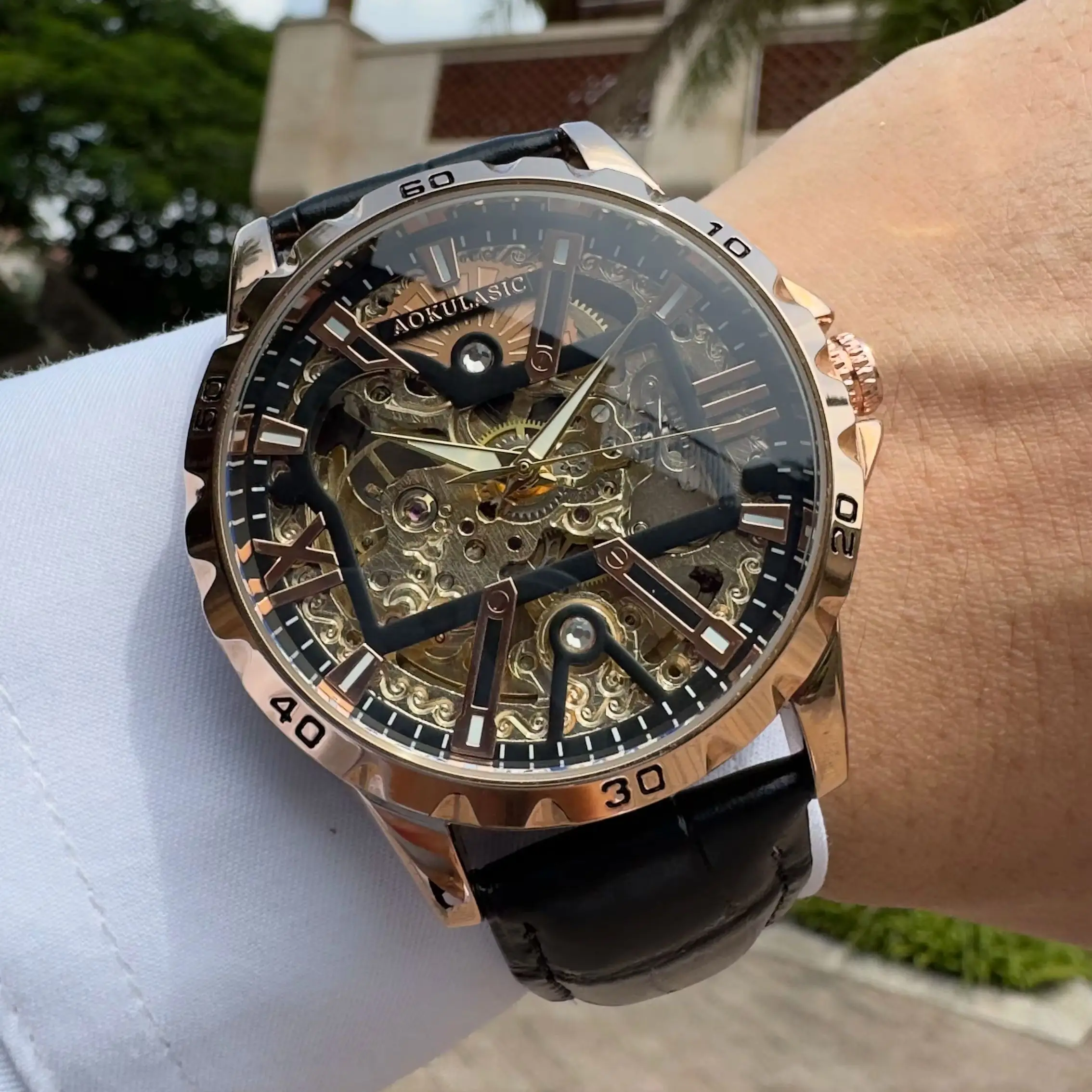 AOKULASIC Classic Retro Automatic Mechanical Watch for Men Luxury Royal Skeleton Watches Leather Steel Band Fashion Wristwatches