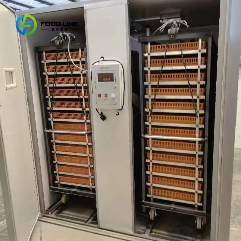 Fully Automatic Chicken Bird Quail Egg Incubator Customized Poultry Farming Hatching Machine Hot Sale