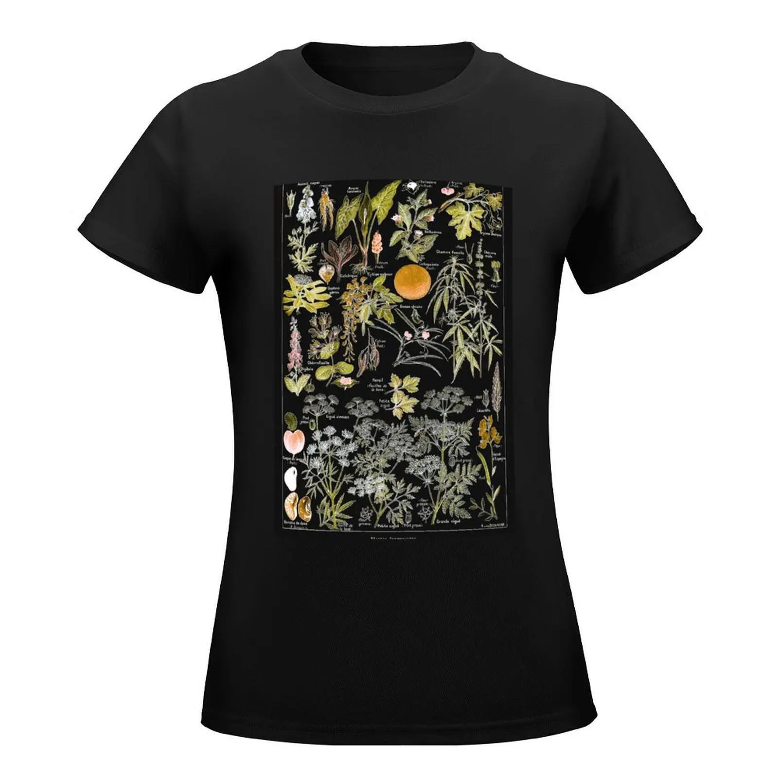 Adolphe Millot - Plantes dangereuses B (dangerous plants B) T-Shirt korean fashion Women t-shirts