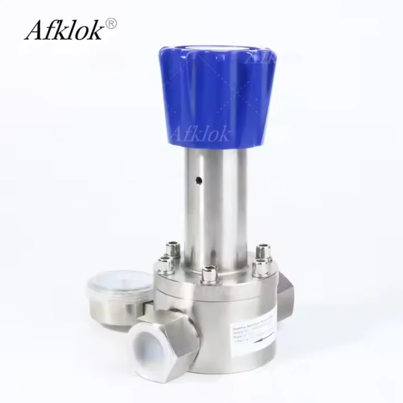 RW74 Stainless Steel Back Pressure Valve for Hydrogen