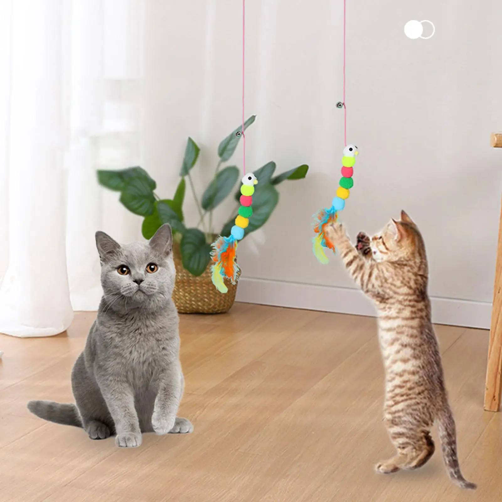 Funny Cat Teaser Toy Worm Toy Catcher Hanging Interactive Toys, Exercise Kitten Chasing Playing for Indoor Cats Scratch Rope