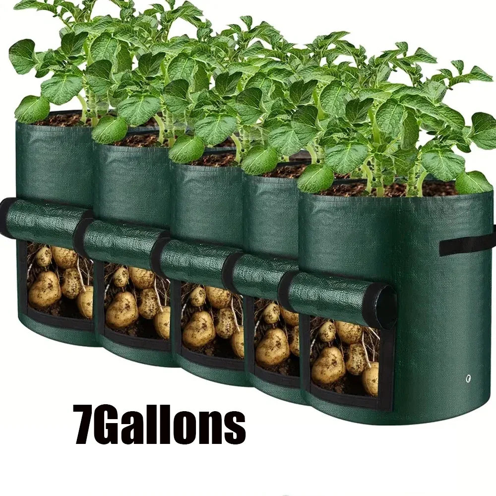 Variant: 5PCS   7Gallons