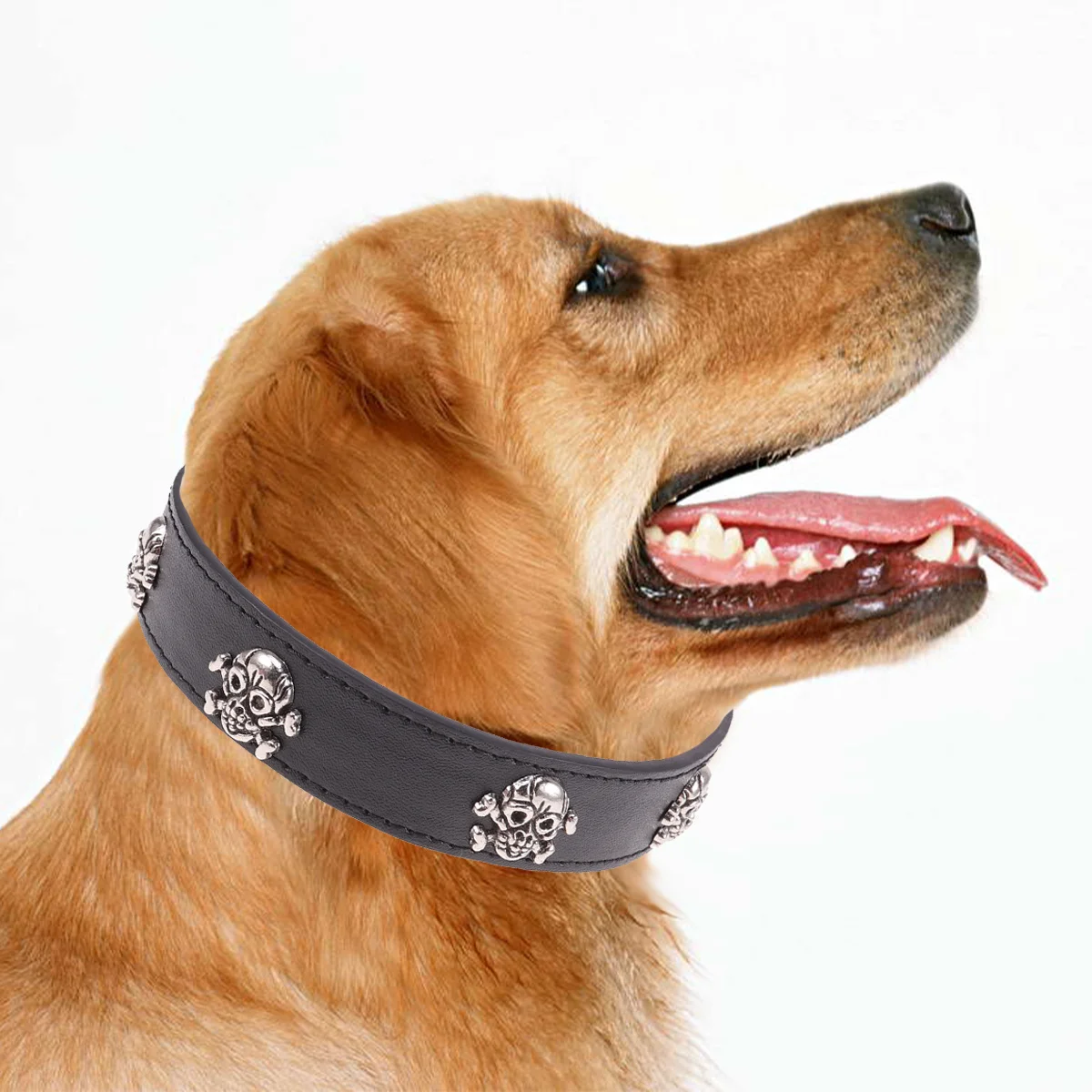 

1Pcs Black Skull Halloween Pet Collar Adjustable Fit for Cats Dogs Puppies Halloween Pet Supplies Dog Collar