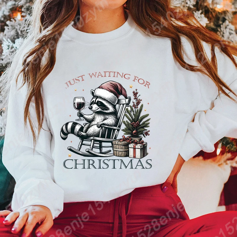 Racoon Just Waiting For Christmas Print Pullover For Women Winter Autumn Casual O Neck Hoodless Sweatshirts Pure Color Pullovers