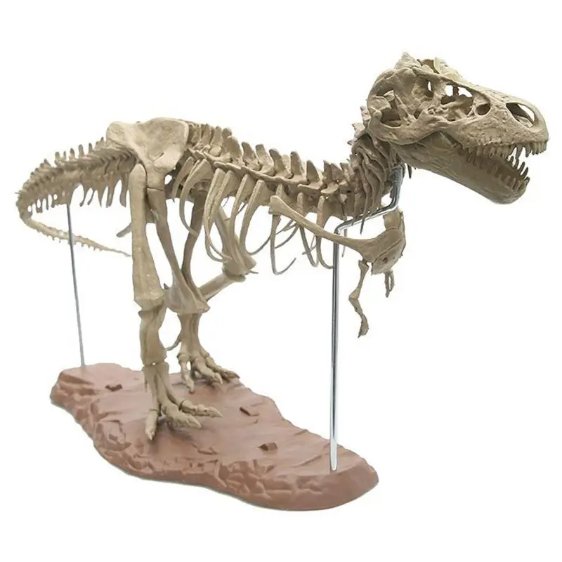 27’’ Simulation Dinosaur Skeleton Figurine PVC Model Collector Tyrannosaurus Dino Interactive Automobile Home Decoration