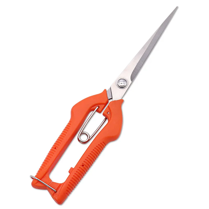 Plus size Fruit Picking Scissors Stainless Steel Gardening Tool Scissors Fruit Picking Fruit Thinning Pruning Shears Tools