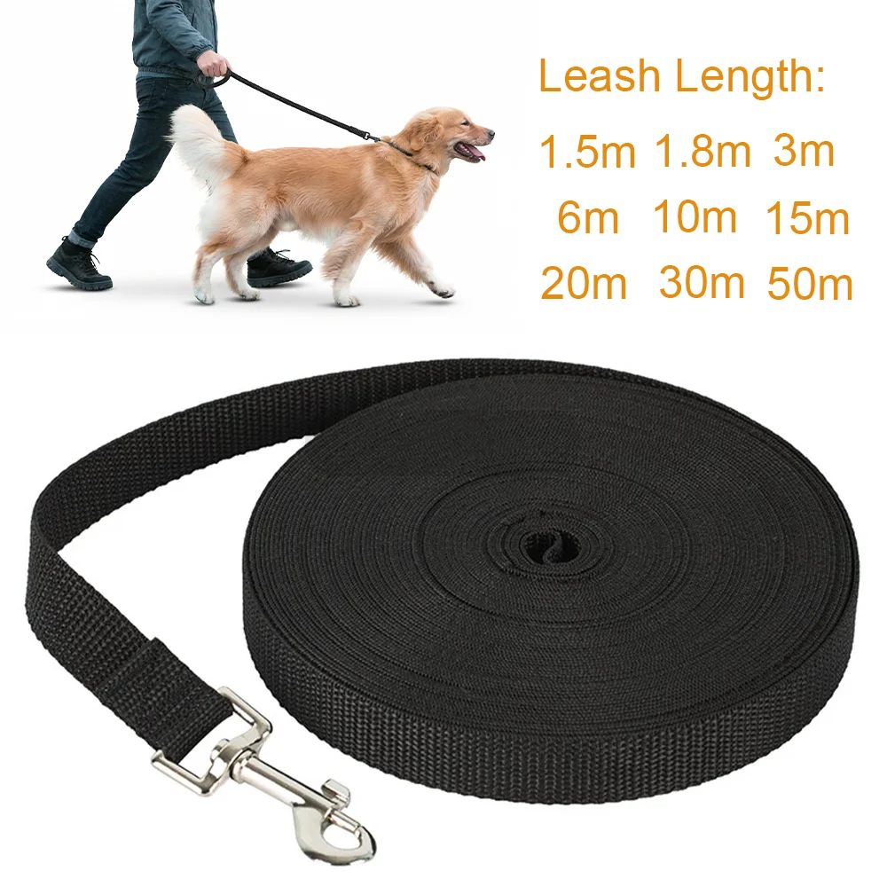 #14 Best Puppy Leads to Buy In 2026