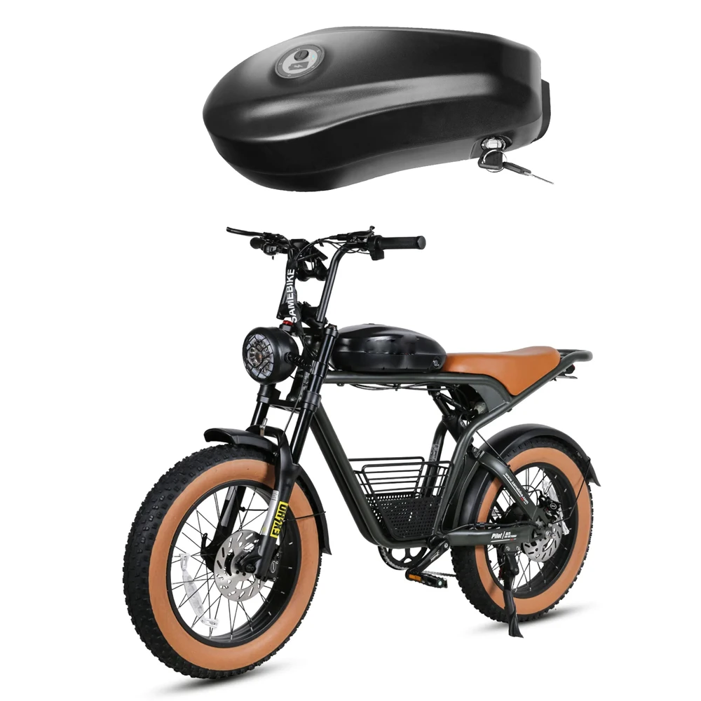 Spedizione gratuita Super 73 Down Tube Ebike Batteria 36V 48V 52V 60V 20Ah 25Ah 750W 1000W Samebike Pilot SE Bike con caricabatterie