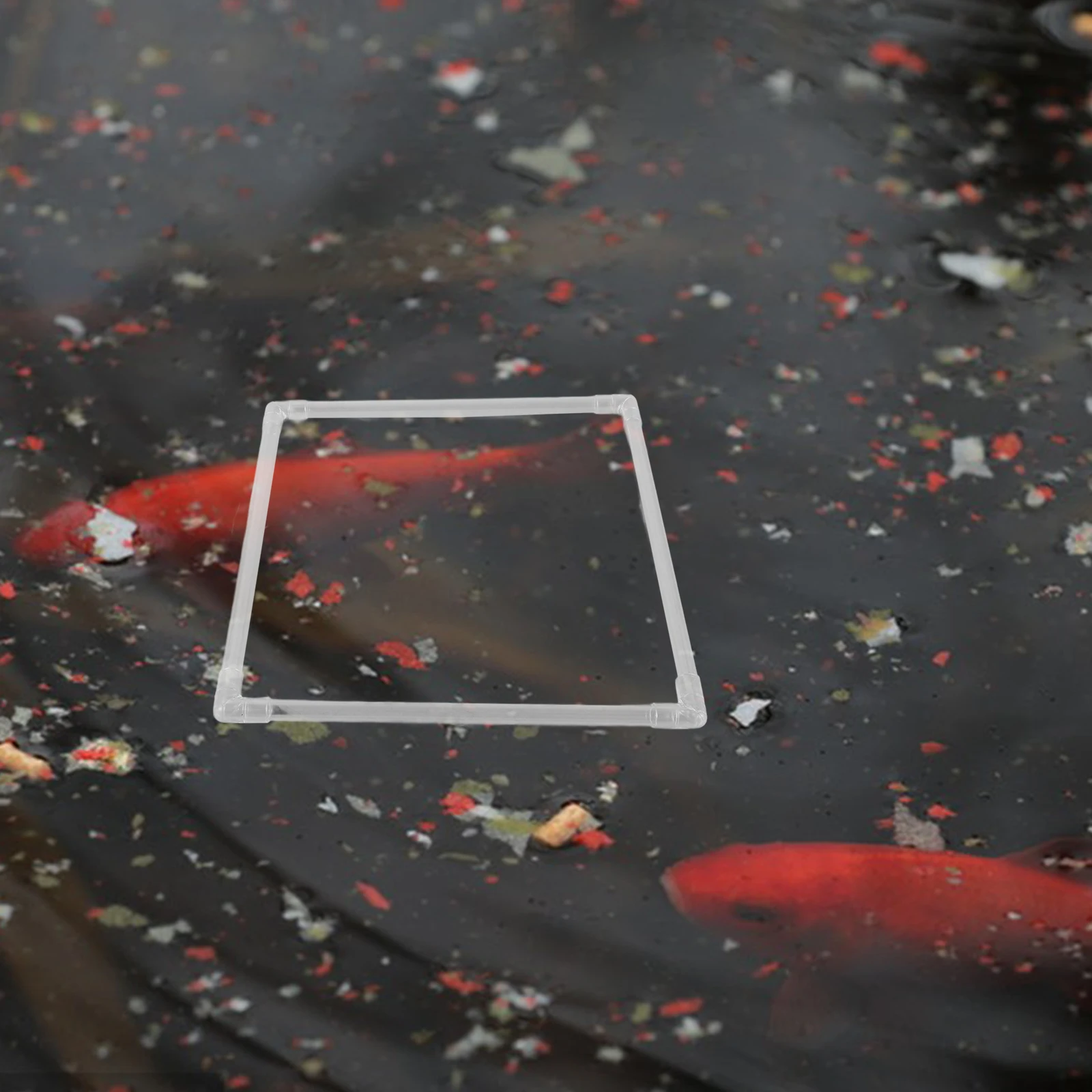 

Aquarium Floating Plant Ring Fish Tank Feeding Tube Isolation Duckweed Rings PC Material Longtime Use Easy Feeding Transparent