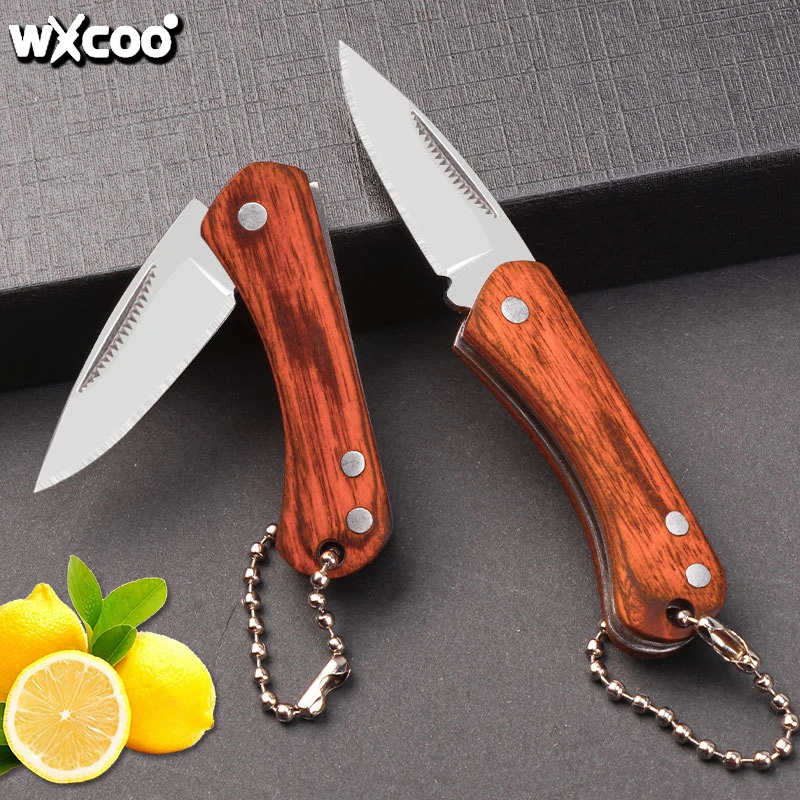 1PC Stainless Steel Mini Pocket Knife Multifunctional Fruit Folding Knife Fruit Knife for Kitchen Cooking Knife Accessories
