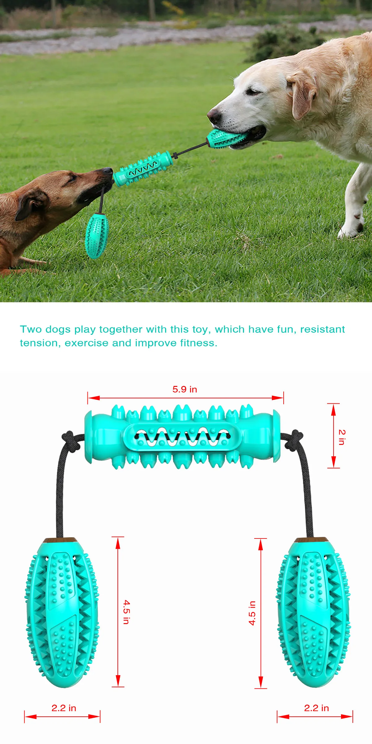 PARKER 2-in-1 Dumbbell Tug-of-War Dog Molded Ball For 2+ Dogs Home Promotes Dental Health Dogs Play With Each Other