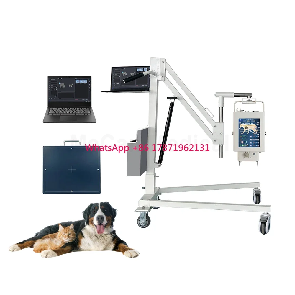 battery Professional veterinary equipment digital portable dr xray fluoroscopy veterinary dog x-ray machine