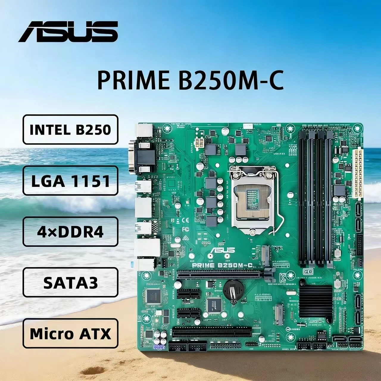 

ASUS PRIME B250M-C carte mère Support i7 7700K 6700K i5-7600K 6500 i3-7350K 6300 CPU LGA1151 DDR4 2400MHz SATA NVME M.2 mATX