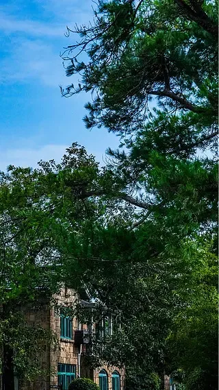 

T-HOBBYT-MOTOR VELOX F7 SE V50A SE HD FC&ESC FPV Stack Flight Controller 30.5*30.5mm for RC FPV Drone HD Drone DIY Parts