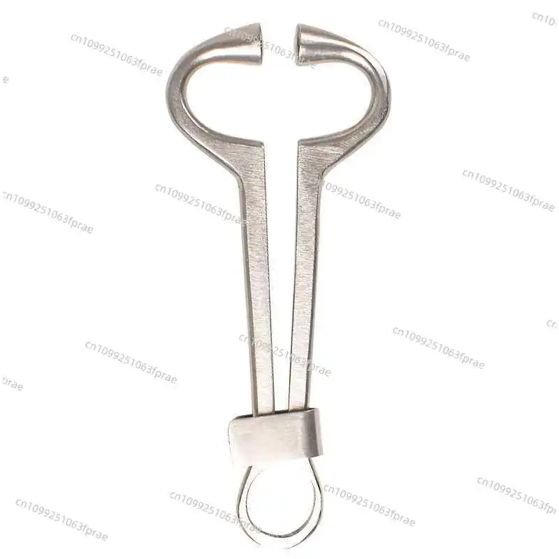 

Export Type Bullnose Pliers Stainless Steel Mounting Pliers Traction Clamp